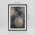 Plakat w ramie 50x70 - Ulotna Piękność Natury - makro, dmuchawce - rama czarna