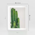 Plakat w ramie 40x50 - Minimalistyczne Kaktusy na Białym Tle - kaktusy, minimalistyczna fotografia - rama biała