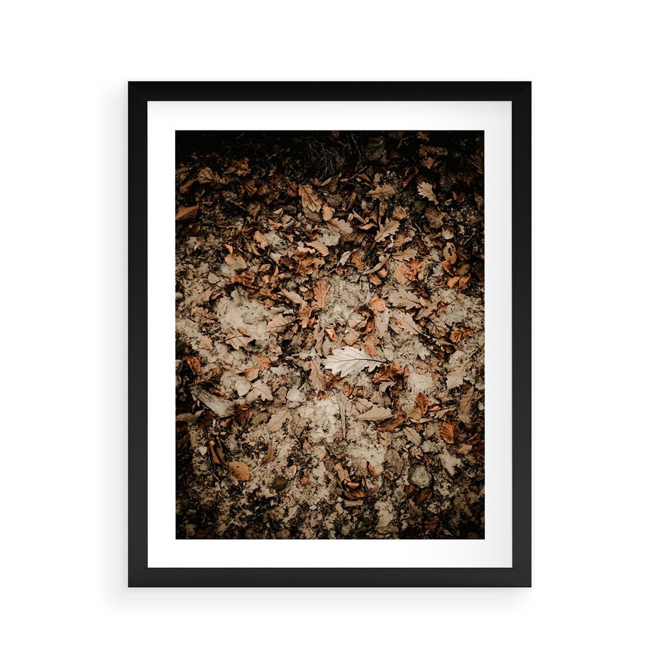Plakat w ramie 40x50 - Suchość Liści w Brązowych Tonach - suche liście jesień brąz - rama czarna