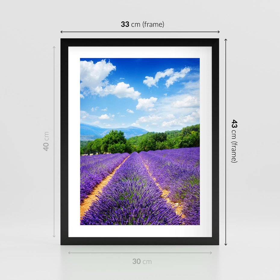 Plakat w ramie 30x40 - Prowansalska Lawenda - lawenda, prowansja - rama czarna
