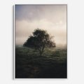 Obraz w ramie 70x100 - Zamglona Prostota - artystyczna fotografia, samotne drzewo na zamglonej łące - rama biała