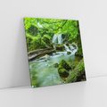 Obraz na płótnie 50x50 - Las przy rzece: potężny wodospad - las, rzeka