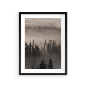 Plakat w ramie 40x50 - Mglista Opowieść Lasu - las, mgła - rama czarna