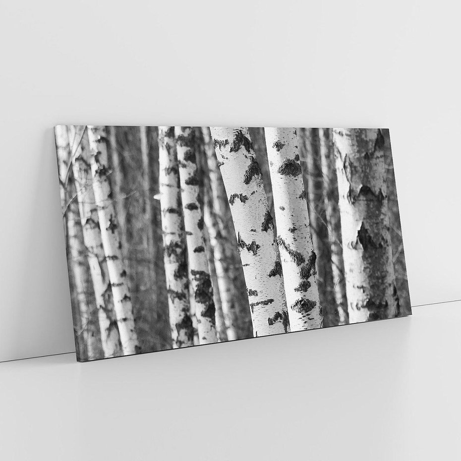Obraz na płótnie 140x70 - Kontrast Monochromatyczny - brzozy, czarno