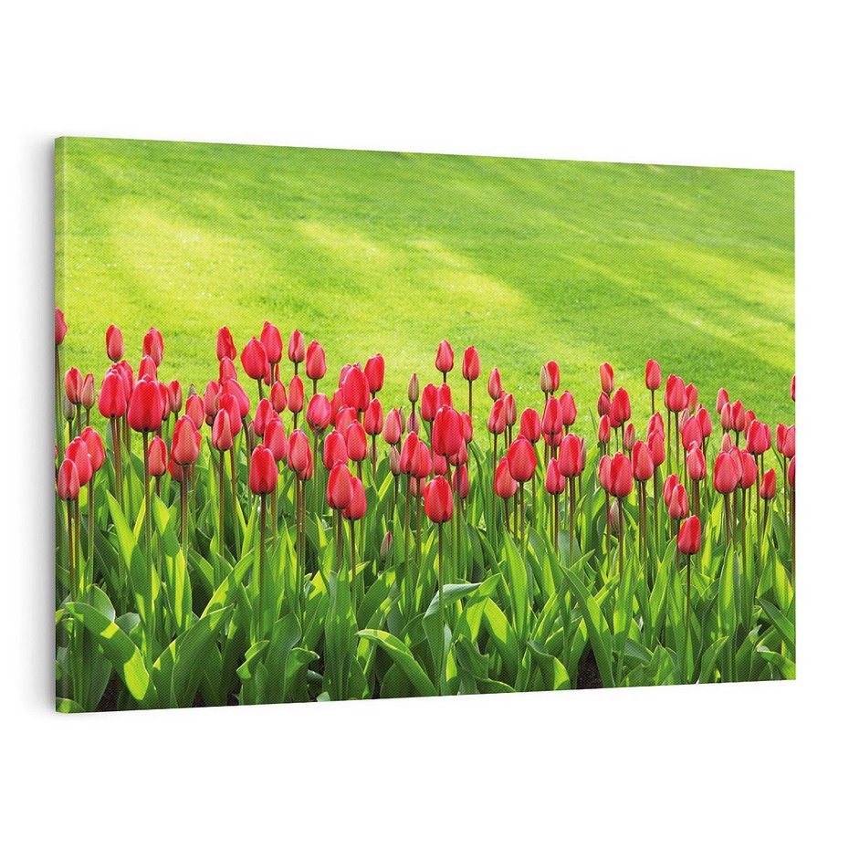 Obraz na płótnie 120x80 - Tulipanowy raj - kwiat, kwiaty