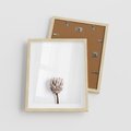 Plakat w ramie 40x50 - Suszona Roślina na Białym Tle - minimalizm, suszona roślina - rama drewno