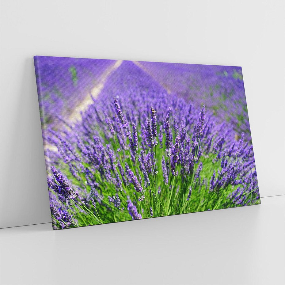 Obraz na płótnie 100x70 - Lawendowe pola piękno natury - lawenda, kwiaty