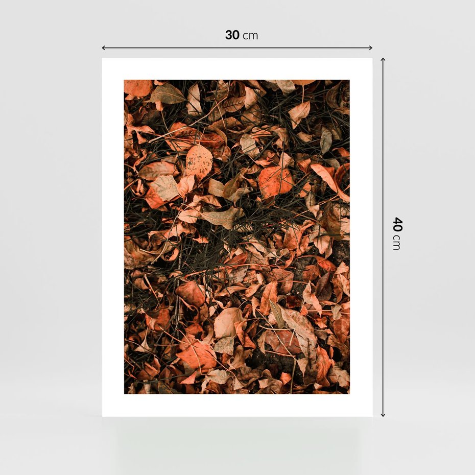 Plakat bez ramy 30x40 - Jesienny Splot: Pomarańczowe Liście - liście, pomarańczowe suche liście