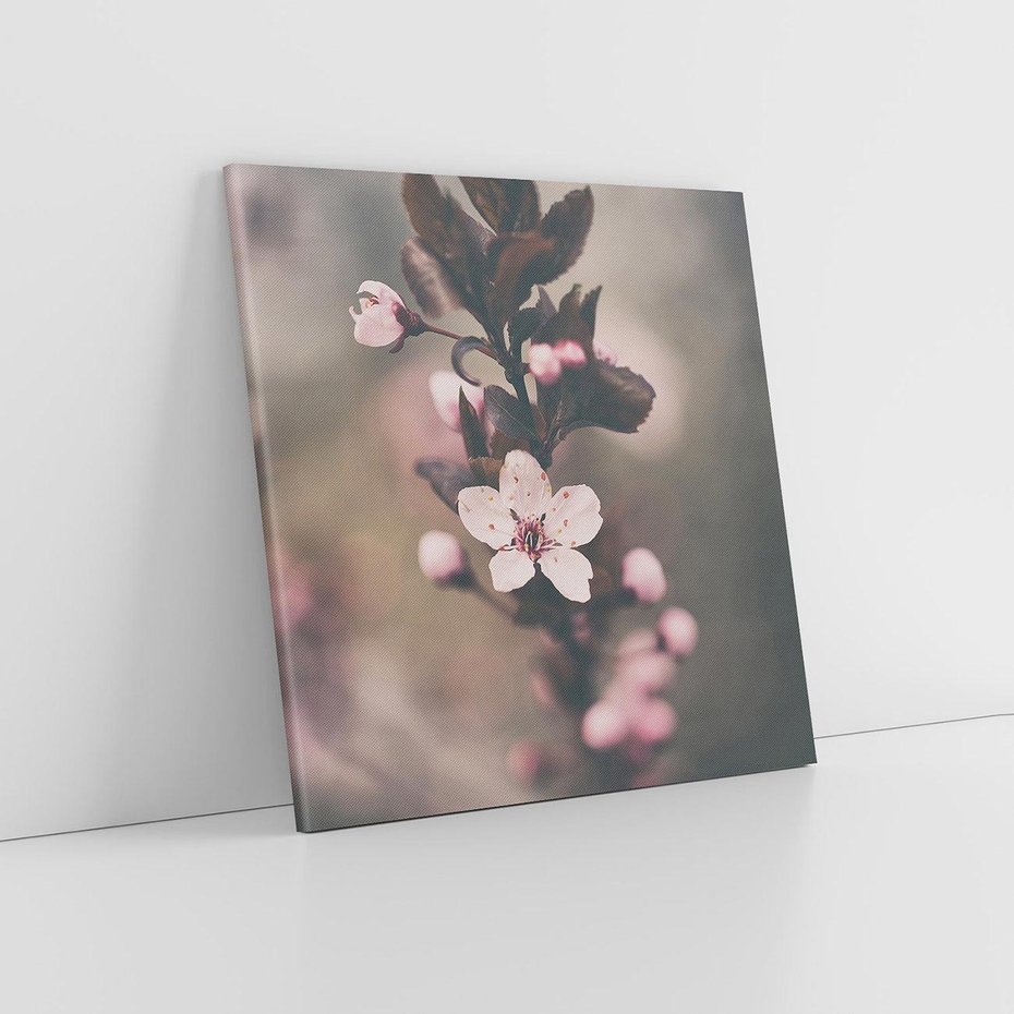 Obraz na płótnie 80x80 - Przemijający Urok - kwitnąca, wiśnia