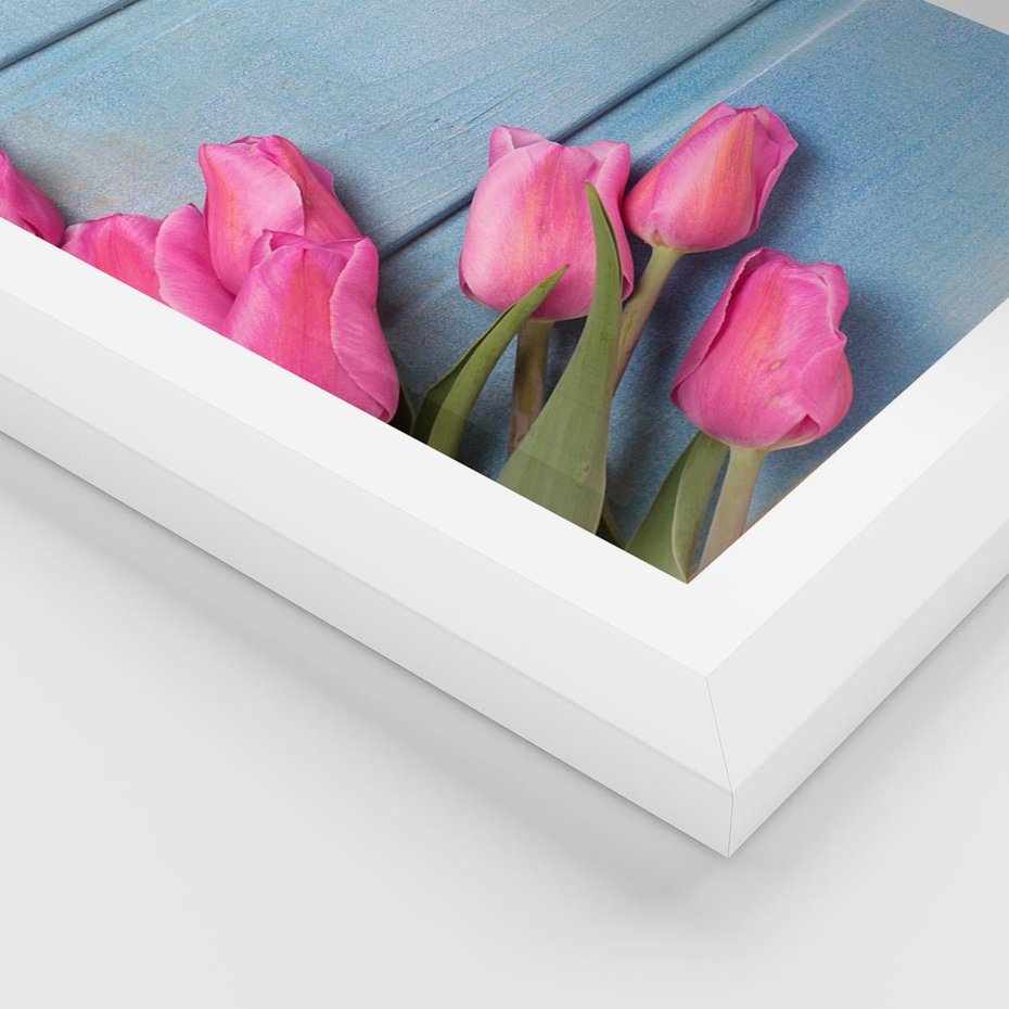 Plakat w ramie 40x50 - Piękno w pełnym rozkwicie - kwiaty, tulipany - rama biała