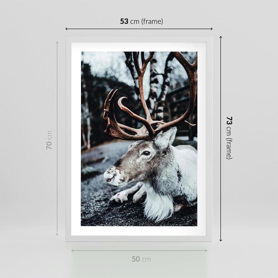 Plakat w ramie 50x70 - W Zimowej Krainie - renifer, zima - rama biała
