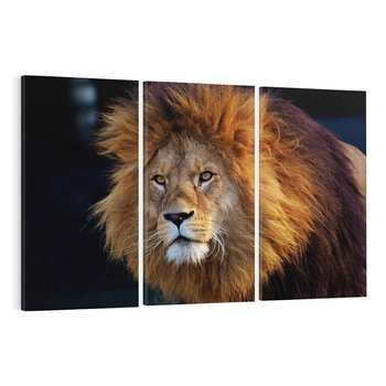 Obraz na płótnie 120x80 - Lew - Król Zwierząt - lew, zwierzęta