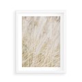 Plakat w ramie 40x50 - Białe Trawy Pampas - suche trawy, białe trawy - rama biała