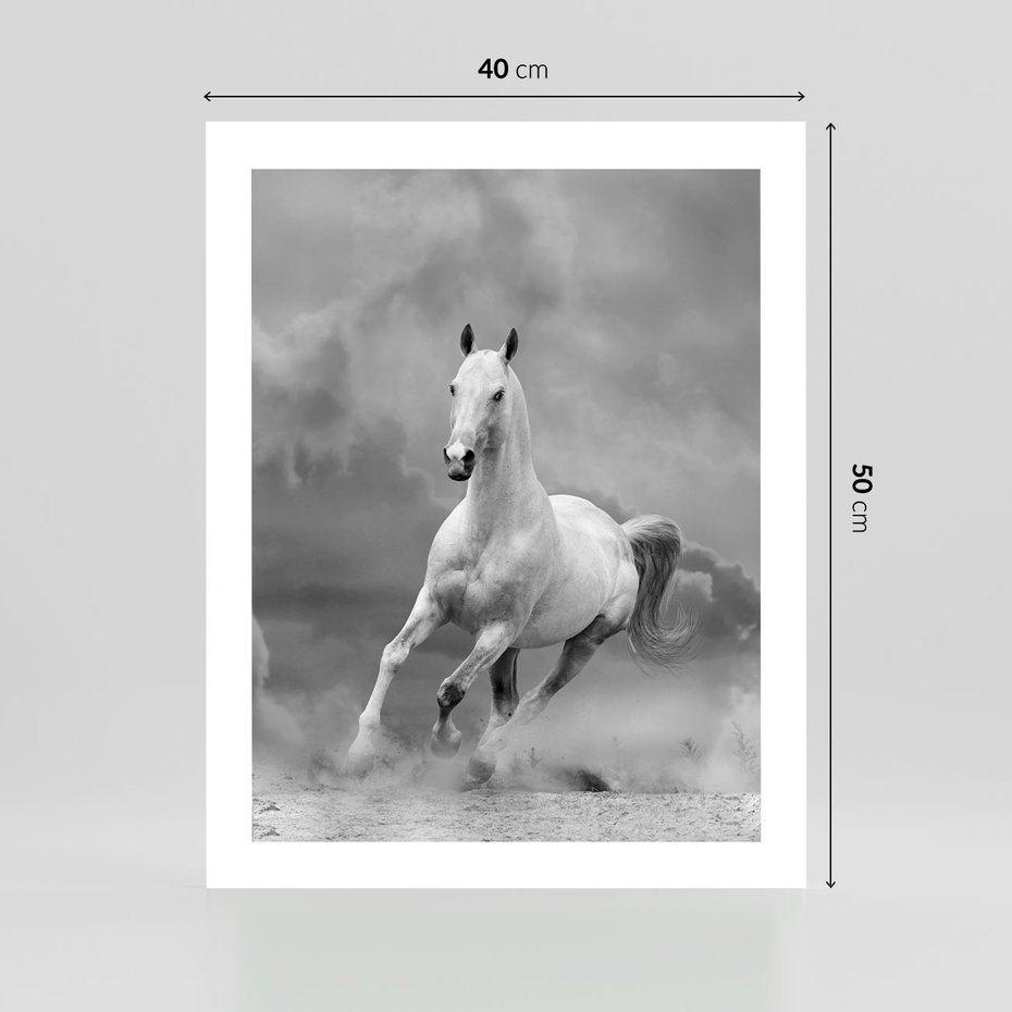 Plakat bez ramy 40x50 - Elegancja w Czarno-Białym - koń, biało