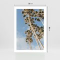 Plakat bez ramy 21x30 - Pod Niebem Palmy - palmy na niebieskim niebie