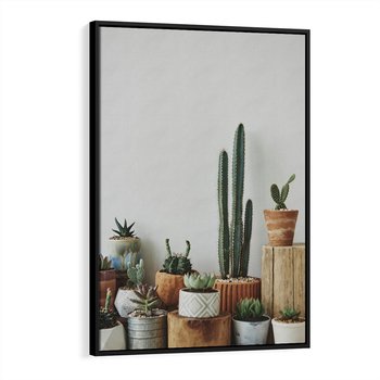 Obraz w ramie 50x70 - Naturalna Harmonia - kaktusy, liście - rama czarna