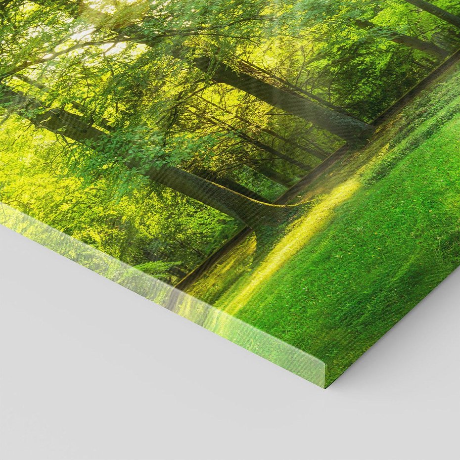 Obraz na płótnie 50x50 - Moc lasu - las, drzewa