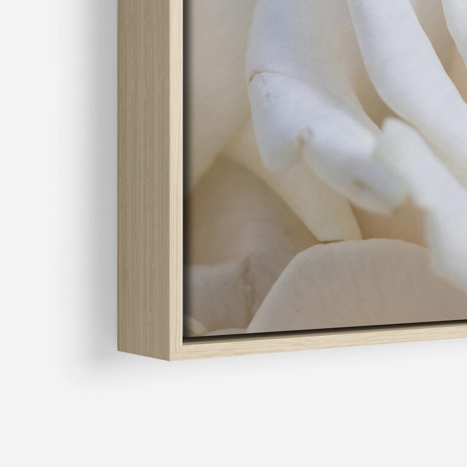 Obraz w ramie 120x80 - Białe róże piękności - białe, róże - rama drewno