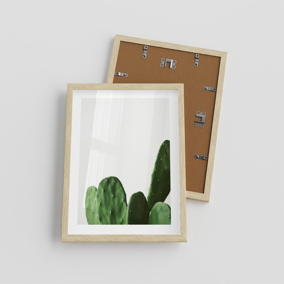 Plakat w ramie 30x40 - Minimalizm Natury - kaktus, zbliżenie - rama drewno