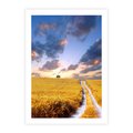 Plakat bez ramy 30x40 - Magiczna droga w lesie - droga, ścieżka