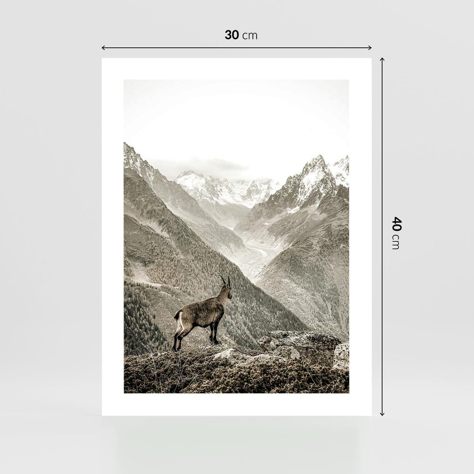 Plakat bez ramy 30x40 - Dzikie Piękno: Kozica w Malowniczym Górskim Scenerii - kozica, góry