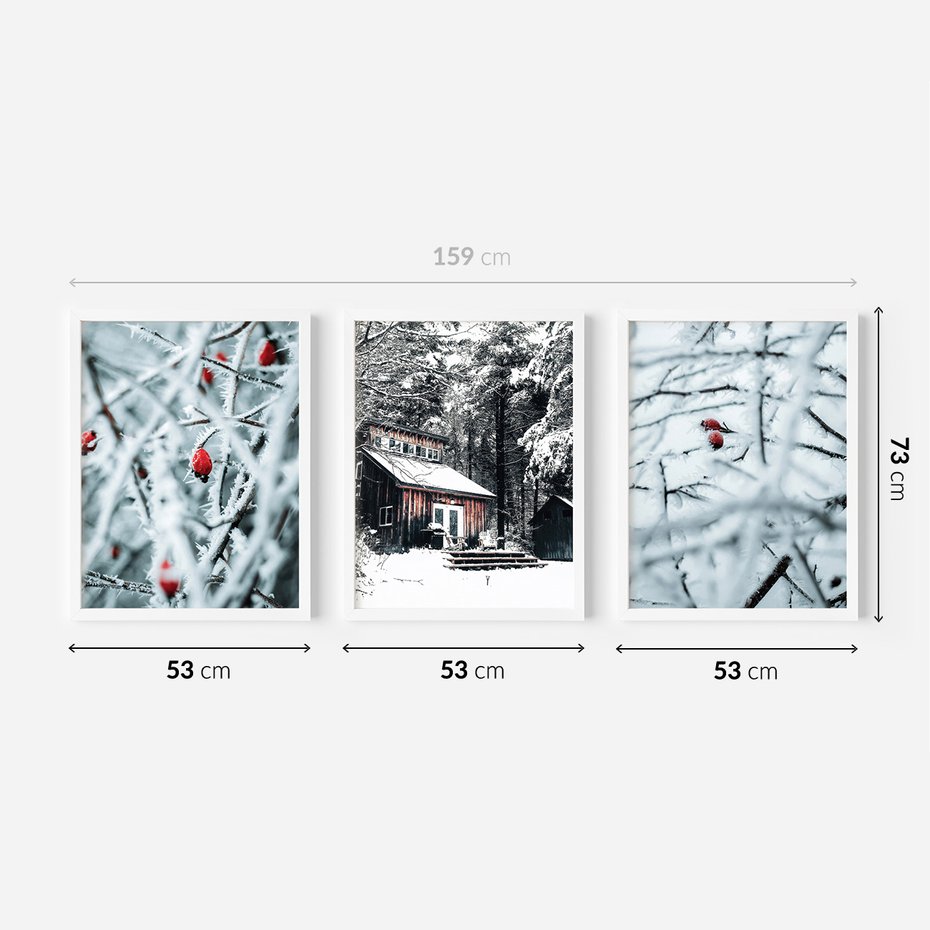 Zestaw obrazy w ramie 50x70 galeria - Zimowa, scenerai, domek, śnieg - rama biała