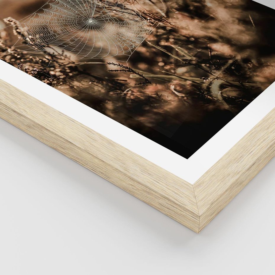 Plakat w ramie 30x40 - Jesienny Mikrokosmos - suchetrawy, jesienny klimat - rama drewno