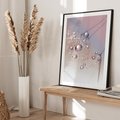 Plakat bez ramy 21x30 - Delikatne Natchnienie - krople, dmuchawce