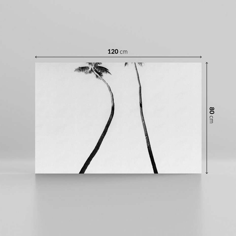 Obraz na płótnie 120x80 - Samotne Palmy - czarno biała fotografia, dwie samotne palmy