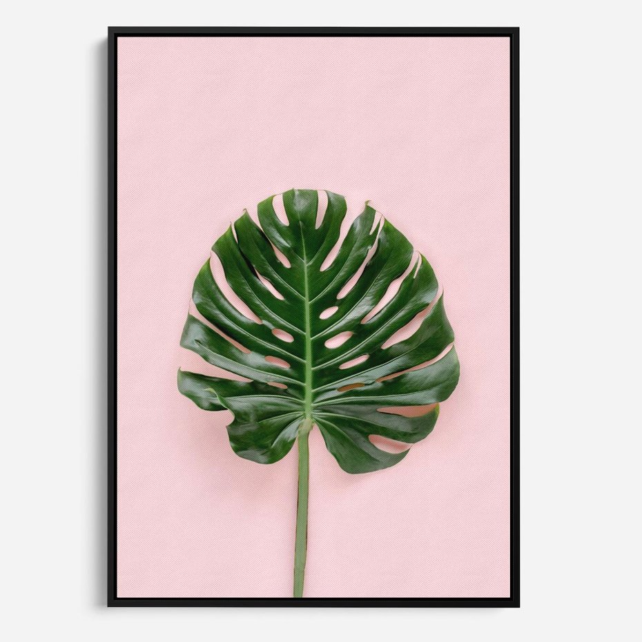 Obraz w ramie 70x100 - Egzotyczna Roślinność - liście, monstera - rama czarna