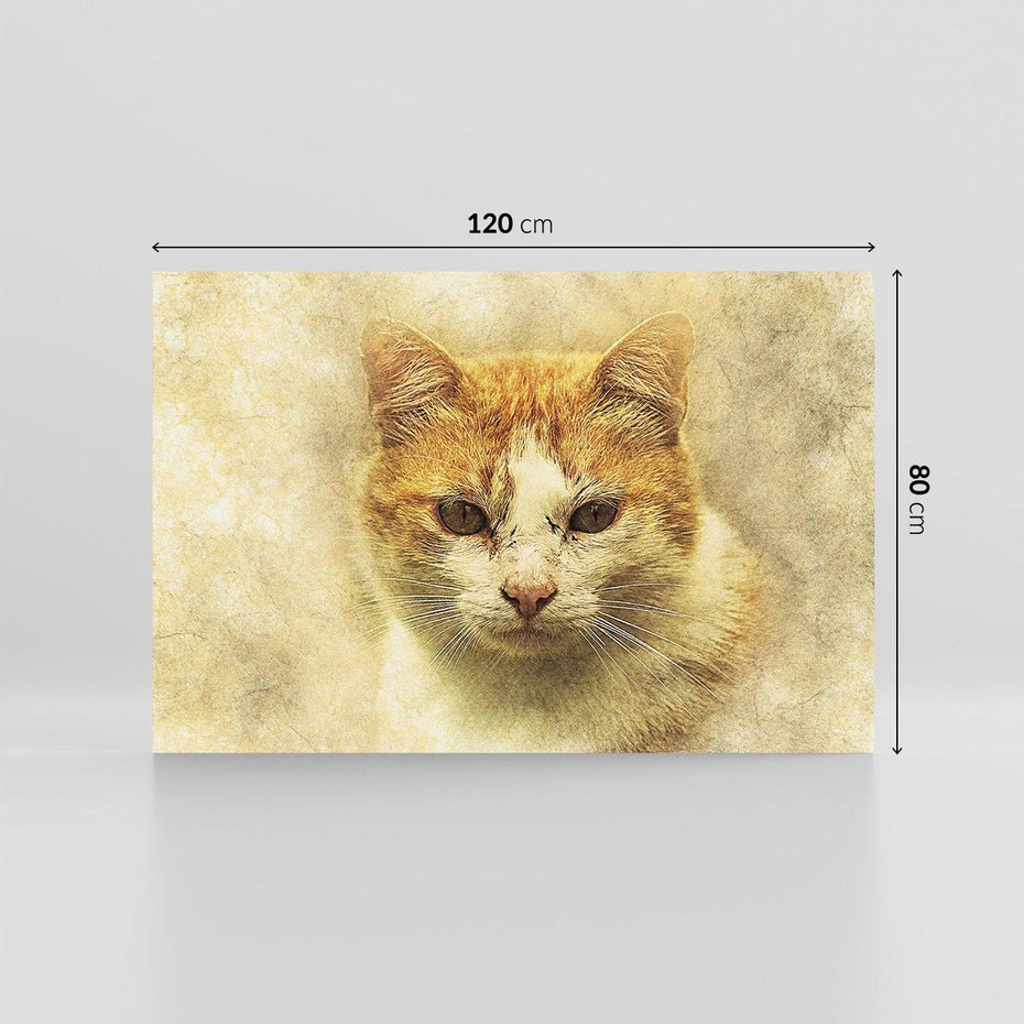 Obraz na płótnie 120x80 - Kot w abstrakcyjnym świecie - kot, sztuka