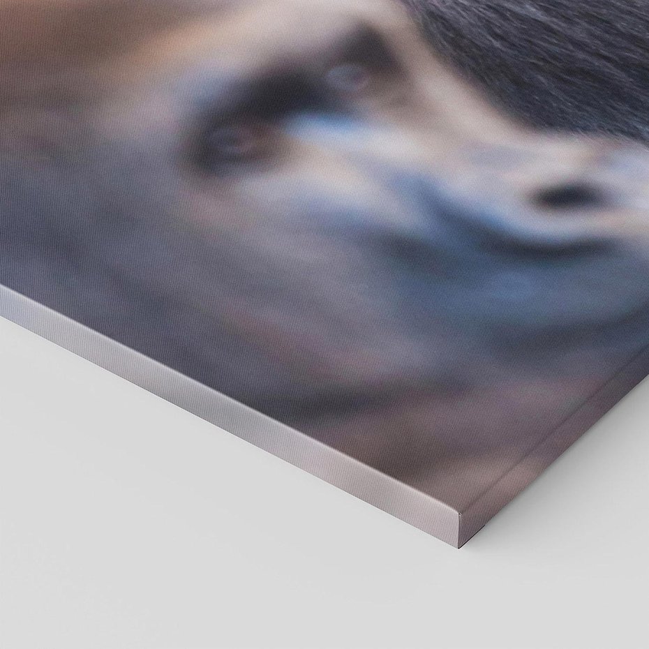 Obraz na płótnie 150x50 - Małpy w ich naturalnym środowisku - małpy, szympansy