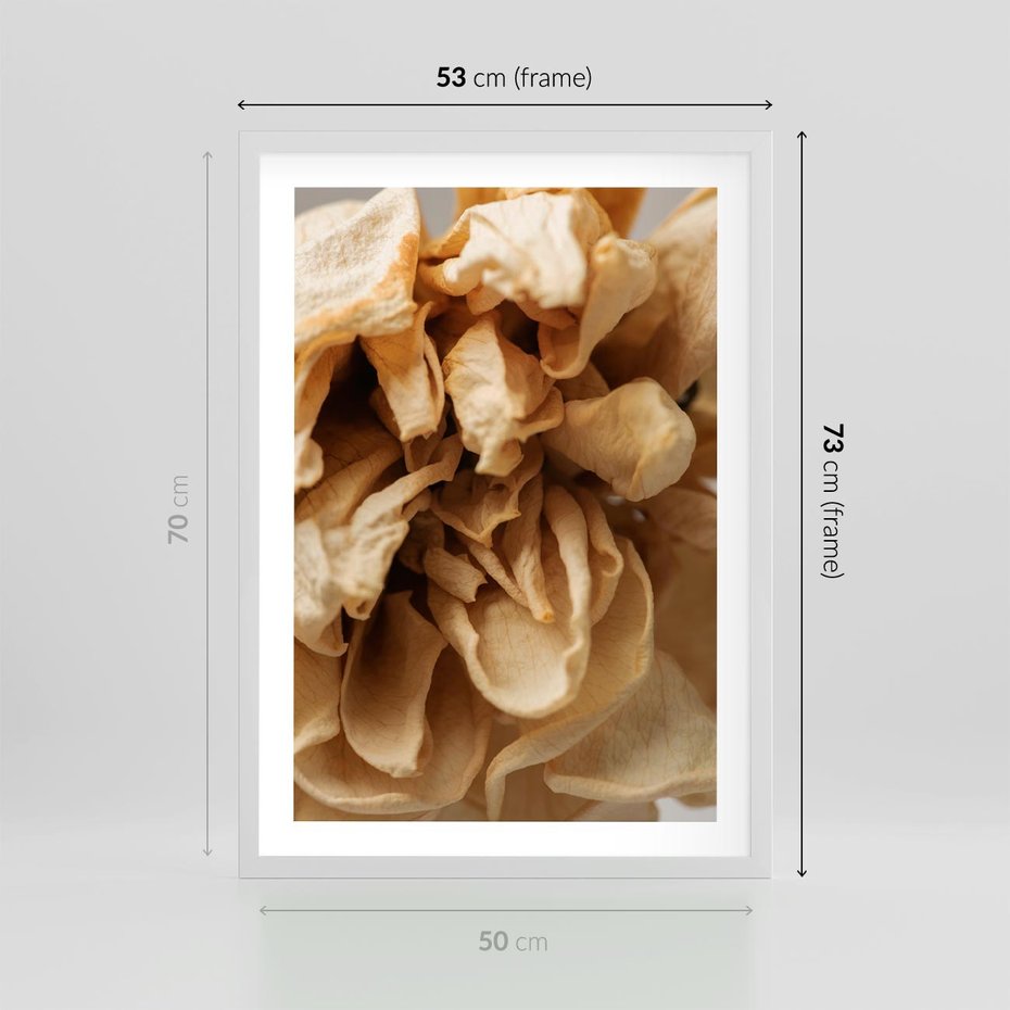 Plakat w ramie 50x70 - Zjawiskowe zasuszone kwiaty - zasuszone, kwiaty - rama biała