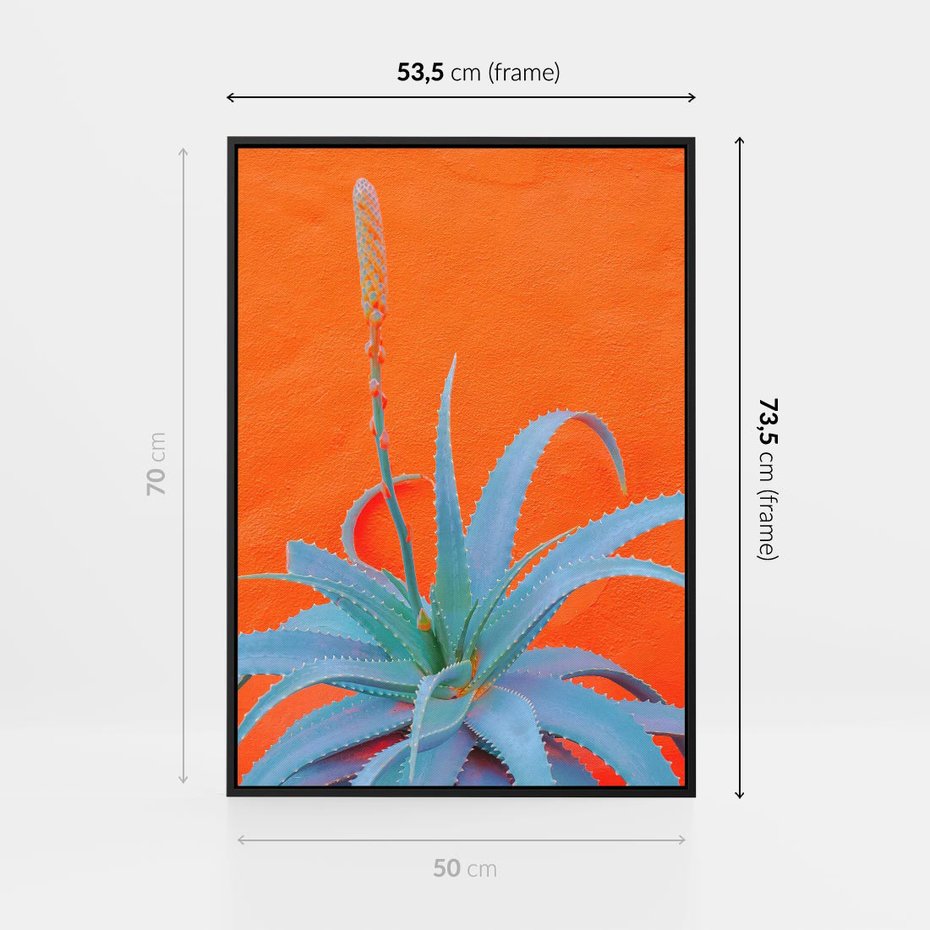 Obraz w ramie 50x70 - Naturalna Harmonia - kaktusy, liście - rama czarna