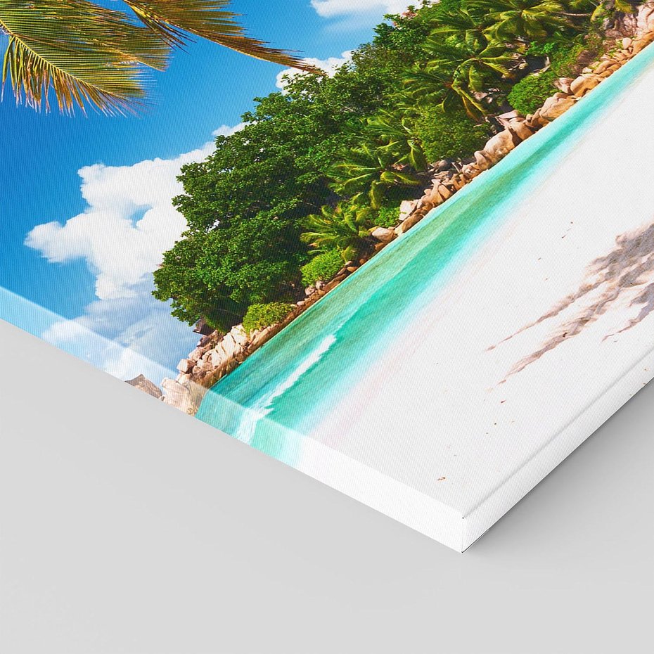 Obraz na płótnie 70x100 - Oaza palm na plaży - palma, plaża