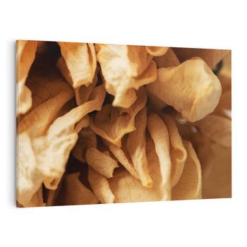 Obraz na płótnie 70x50 - Zjawiskowe zasuszone kwiaty - zasuszone, kwiaty