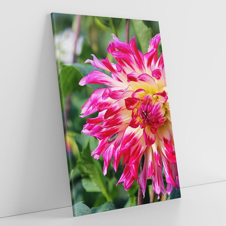 Obraz na płótnie 50x70 - Kwiatowe impresje natury - kwiat, kwiaty