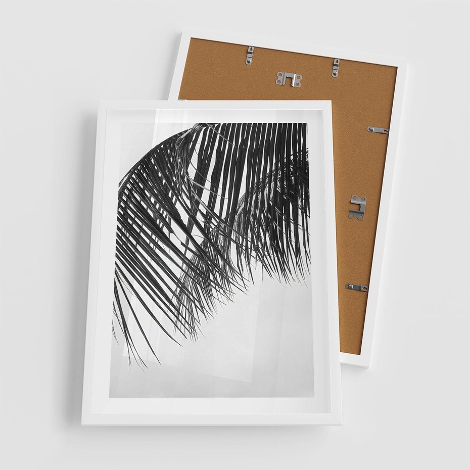 Plakat w ramie 50x70 - Czarno-Biały Kontrast - czarno białe zdjecie, palma - rama biała