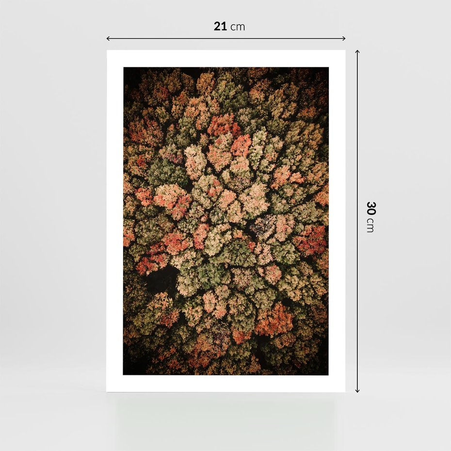 Plakat bez ramy 21x30 - Jesień z Lotu Ptaka: Malowniczy Las - las jesienią z lotu ptaka