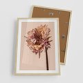 Plakat w ramie 50x70 - Delikatne piękno - suche, kwiaty - rama drewno