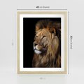 Plakat w ramie 40x50 - Władca Dzikiej Przyrody - lew, król - rama drewno