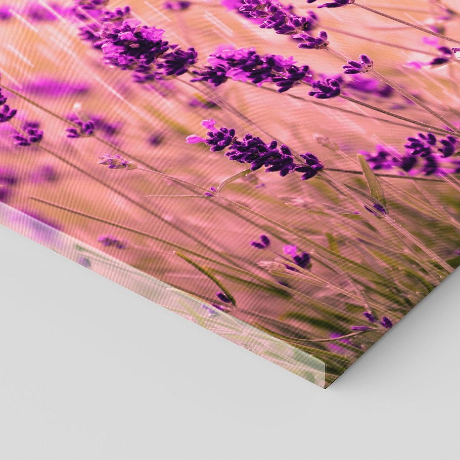 Obraz na płótnie 100x50 - Lawenda: Pachnące pole kwiatów - kwiaty, lawenda