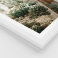 Plakat w ramie 30x40 - Sukulenty w Szklarni - sukulenty, w szklarni - rama biała
