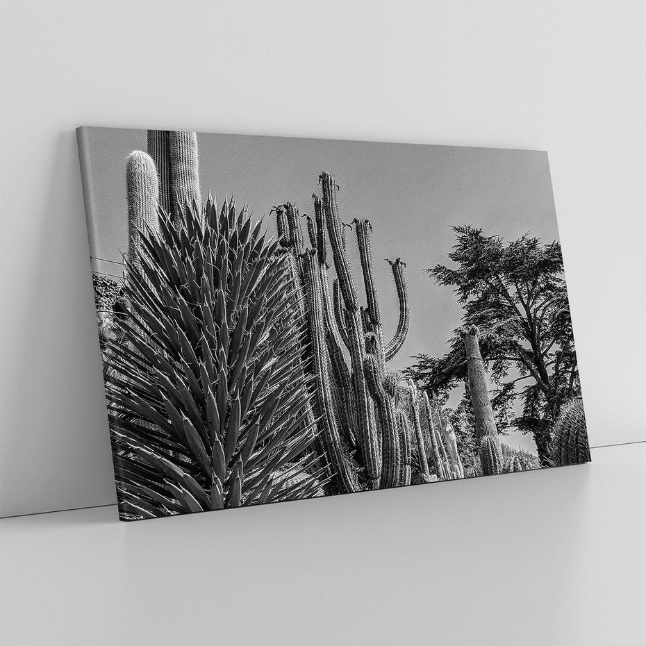 Obraz na płótnie 120x80 - Pustynny Klimat - czarno białe zdjecie, pustynia