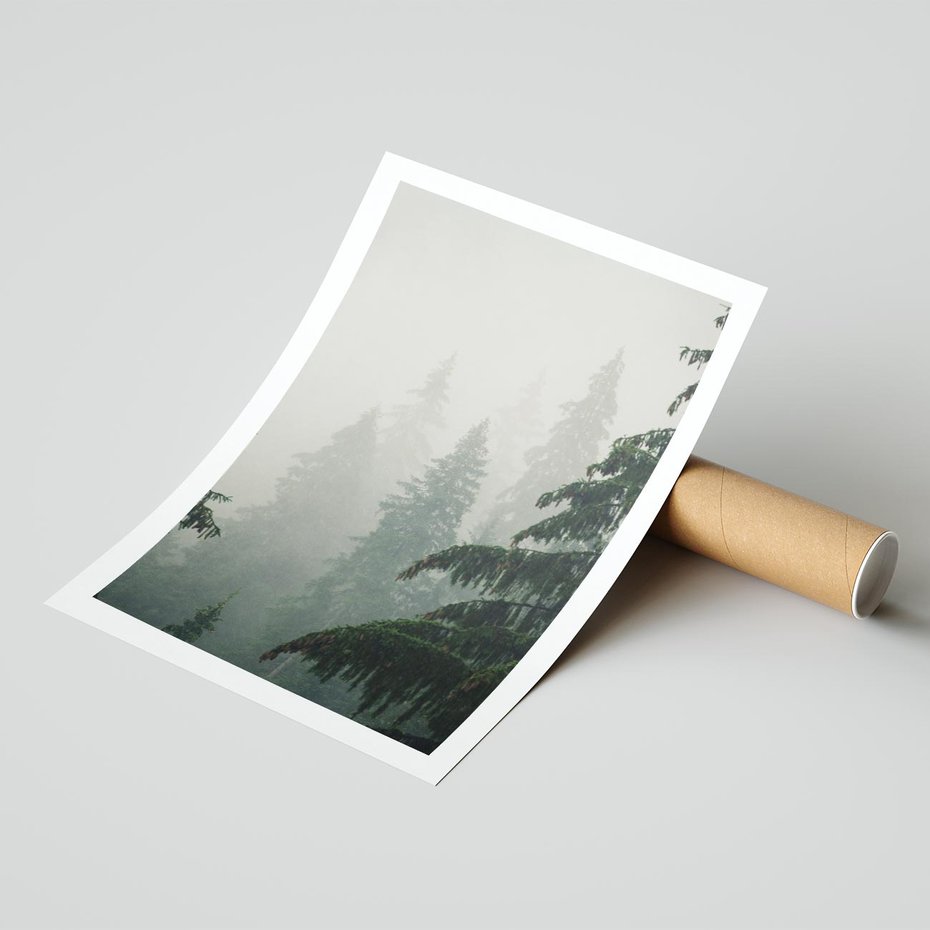 Plakat bez ramy 21x30 - Mglista przemiana lasu - las, mgła