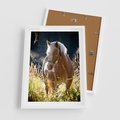 Plakat w ramie 50x70 - Spotkanie konia na łące - koń, łąka - rama biała