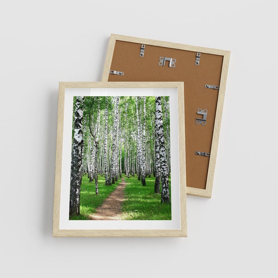 Plakat w ramie 40x50 - Bajkowy las pełen brzóz - las, brzozy - rama drewno
