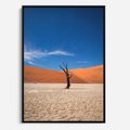 Obraz w ramie 50x70 - Słońce i Suche Drzewo - pustynia, suche - rama czarna