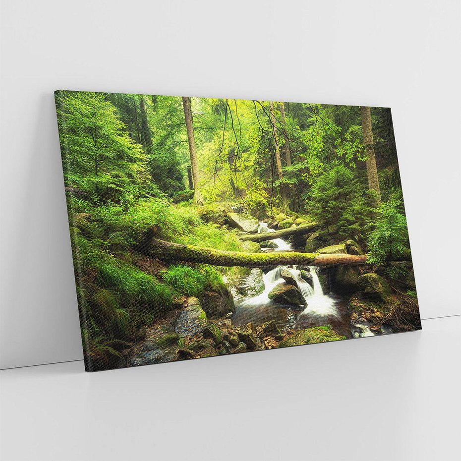 Obraz na płótnie 120x80 - Magiczny Strumień w Lesie - strumień, las