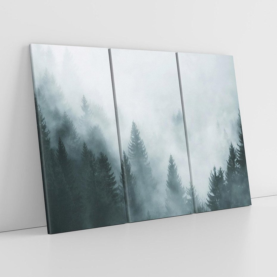 Obraz na płótnie 120x80 - Las w Mgłe - las, we